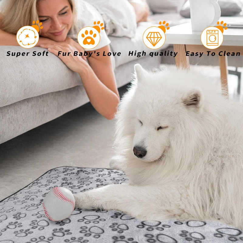 Samoyed fur blanket fashion